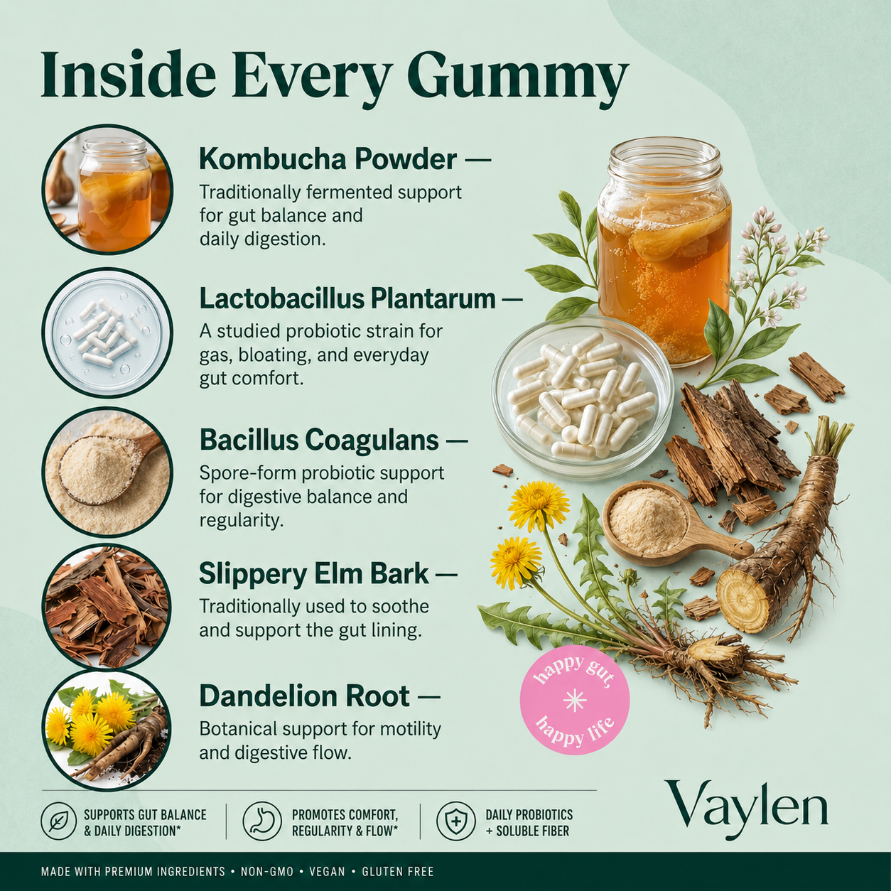 Probiotic Kombucha Gummy